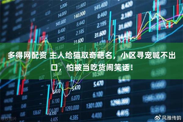 多得网配资 主人给猫取奇葩名，小区寻宠喊不出口，怕被当吃货闹笑话！