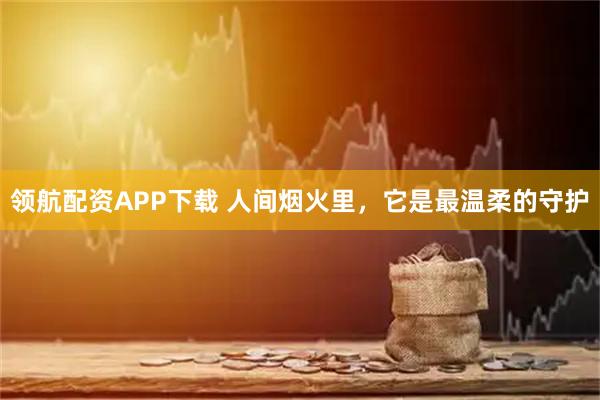 领航配资APP下载 人间烟火里，它是最温柔的守护
