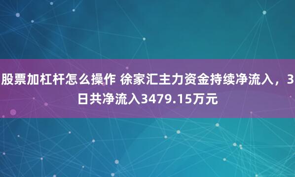 股票加杠杆怎么操作 徐家汇主力资金持续净流入，3日共净流入3479.15万元