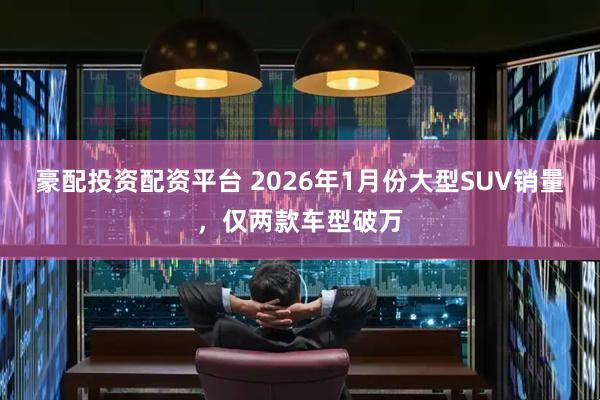 豪配投资配资平台 2026年1月份大型SUV销量，仅两款车型破万