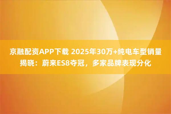 京融配资APP下载 2025年30万+纯电车型销量揭晓：蔚来ES8夺冠，多家品牌表现分化